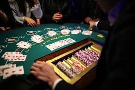 ibet789 Slot dan Live Casino di Genggaman Anda
